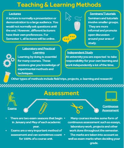 infogrpahic